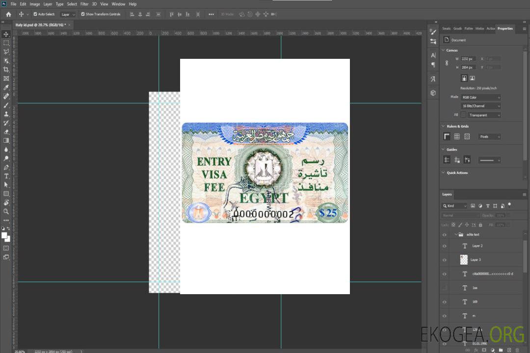 Visa d'entrée en ÉGYPTE template Visa d'entrée en ÉGYPTE template